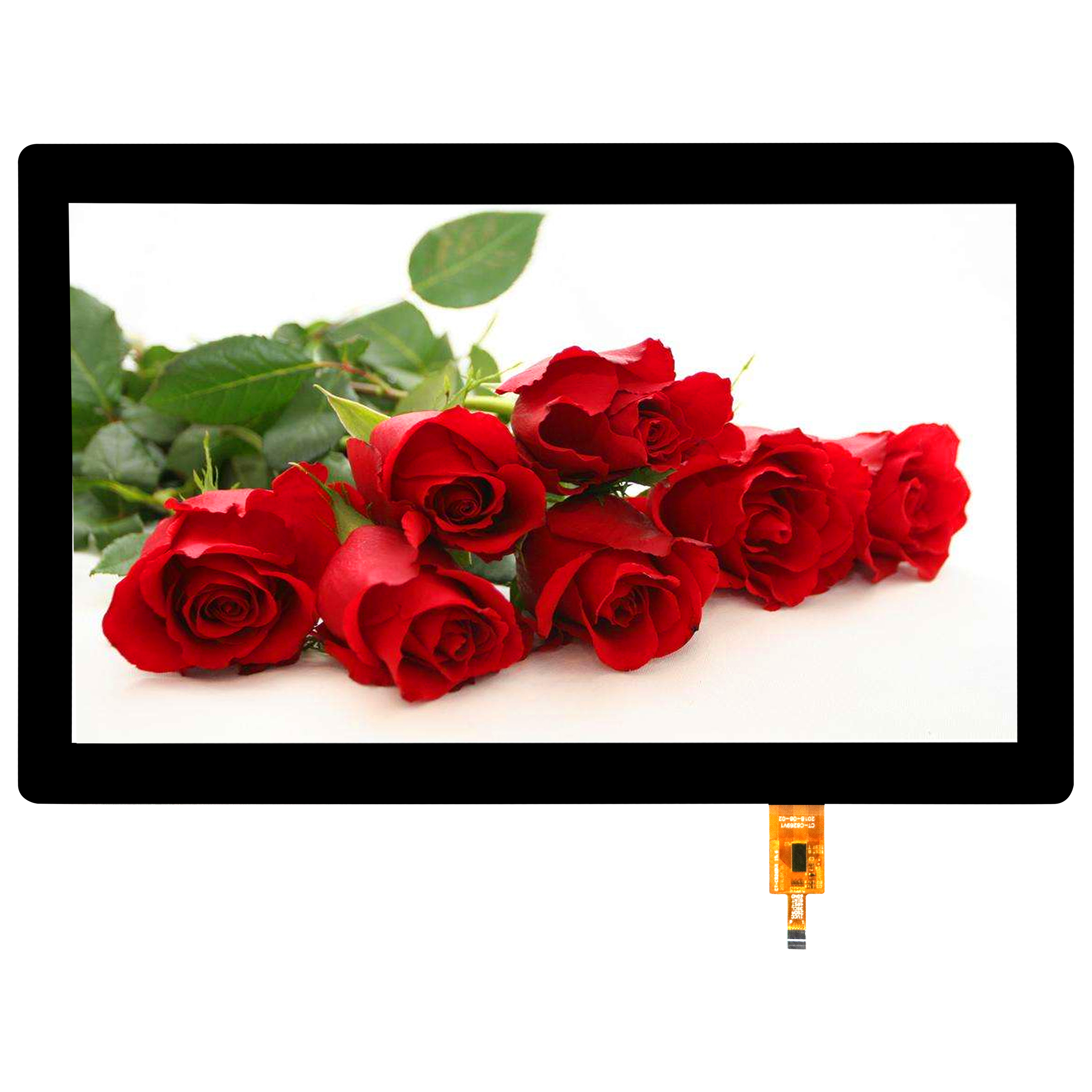 pp电子·(中国)官方网站