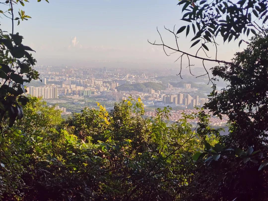 pp电子·(中国)官方网站